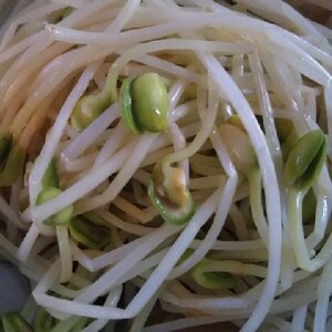 子大豆もやしにポン酢とラー油